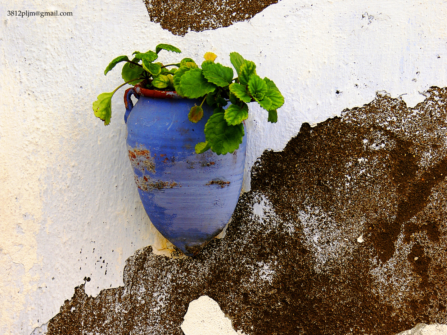 Colores de Andalucía