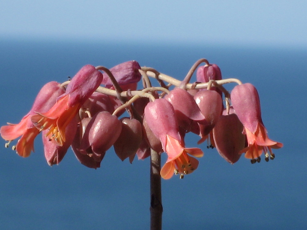 colores de Banyalbufar