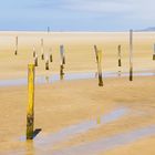 Colores de Cádiz (Tarifa)