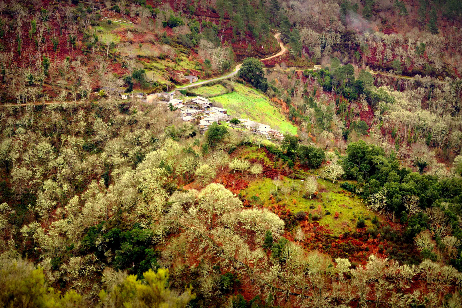 Colores de Galicia