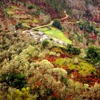 Colores de Galicia