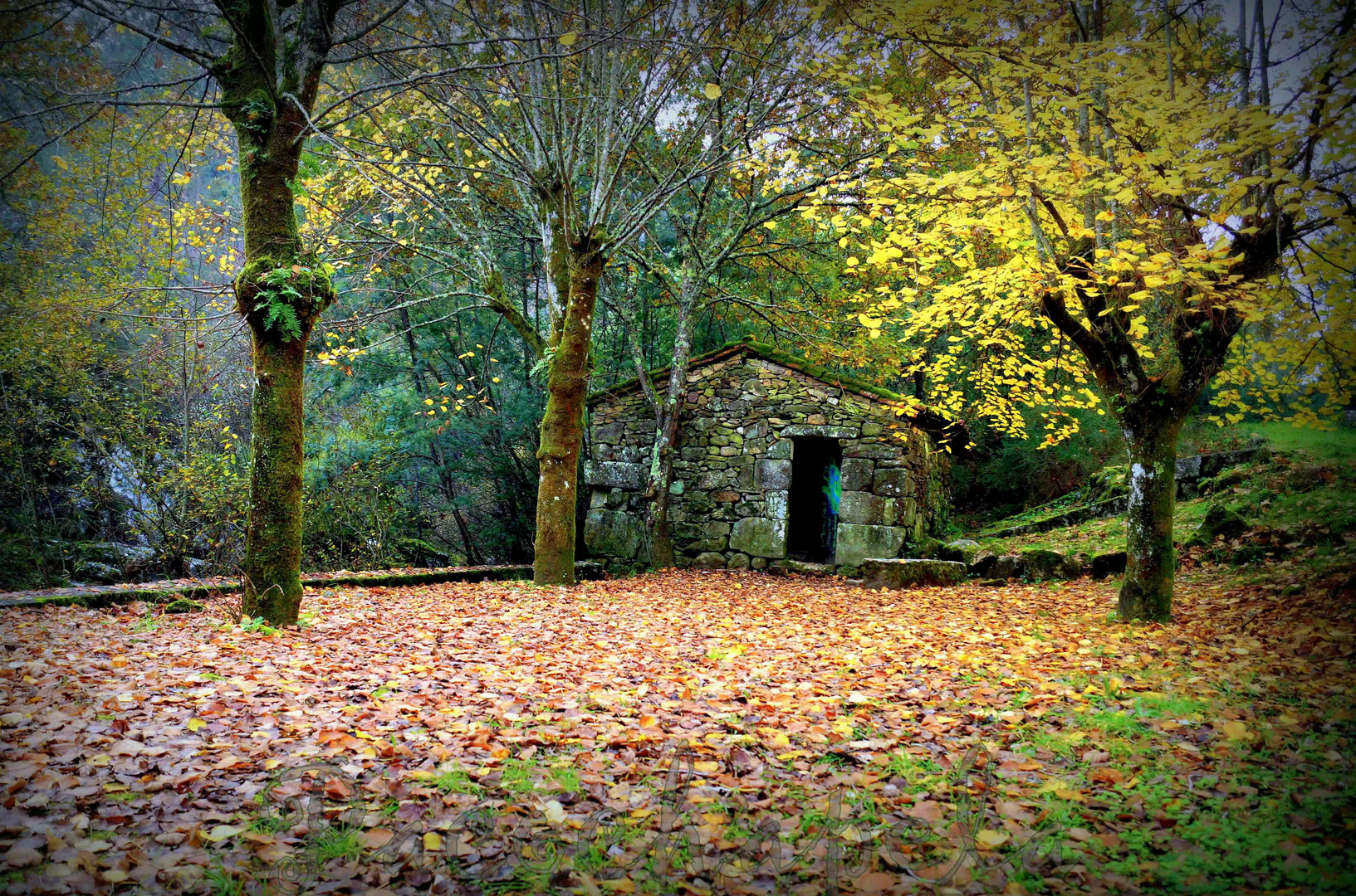 Colores de Invierno