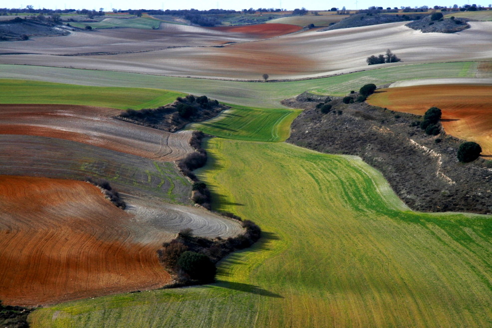 Colores de invierno