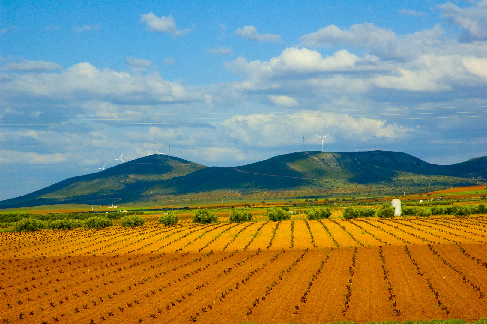 Colores de la Mancha