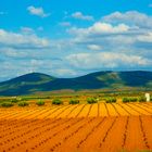 Colores de la Mancha