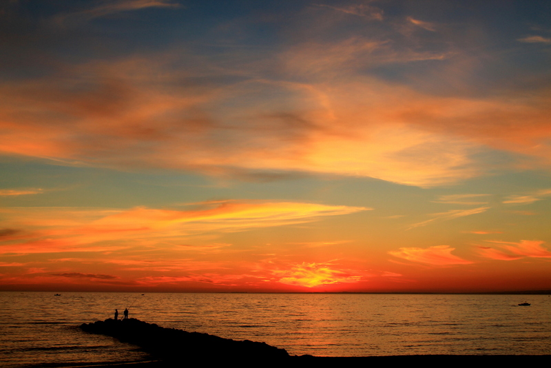 colores de la naturelza