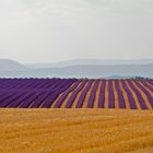 Colores de la Provenza