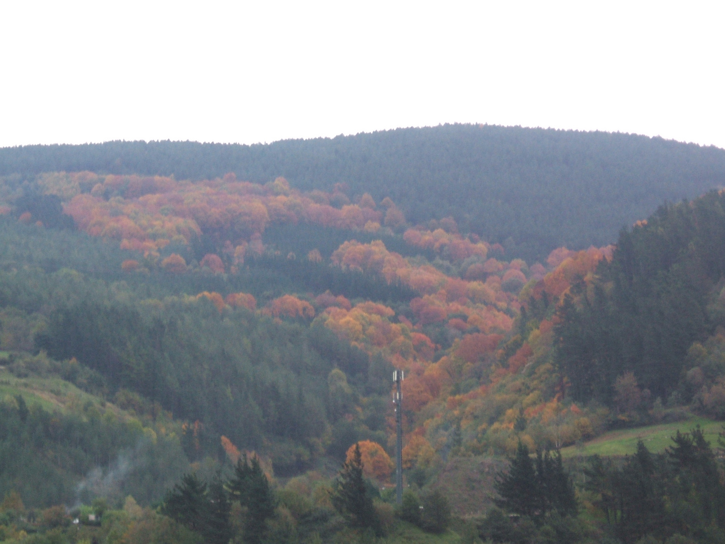 Colores de otoño