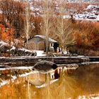 colores de Otoño