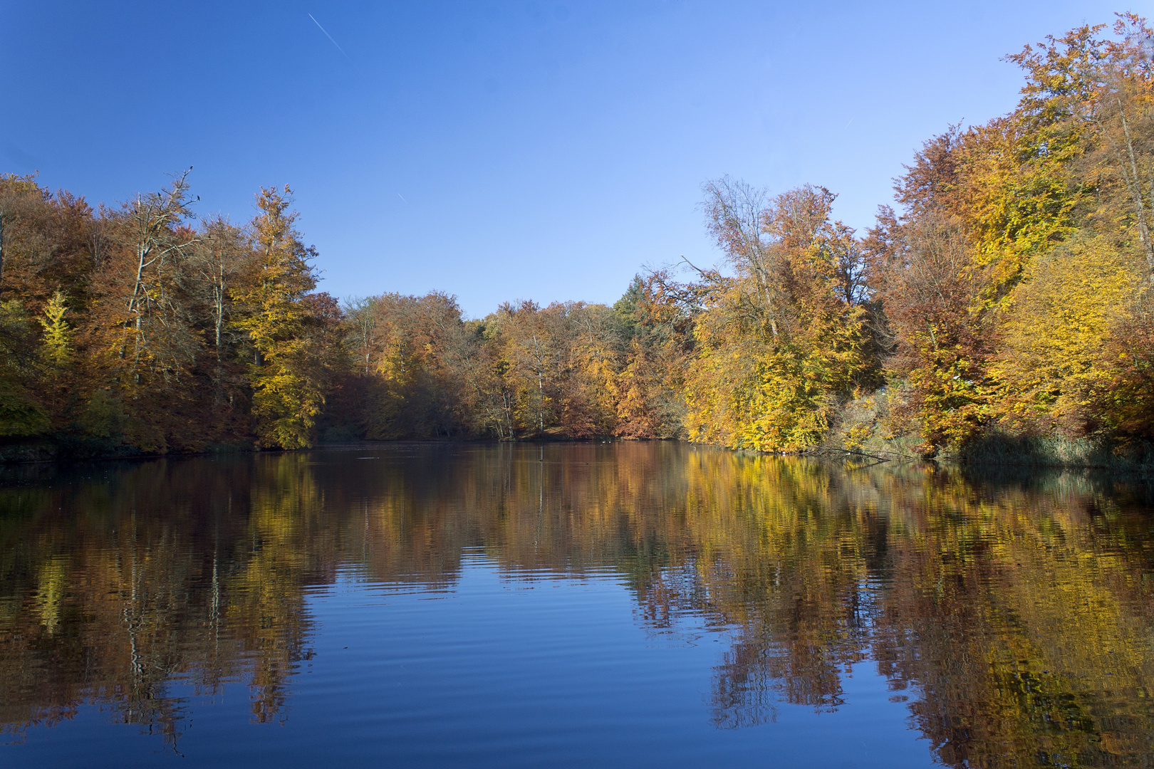 Colores de otoño