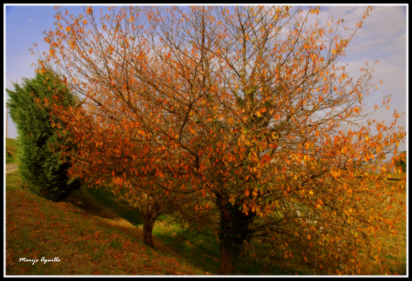 Colores de otoño