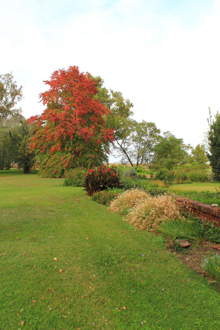 Colores de Otoño