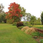 Colores de Otoño