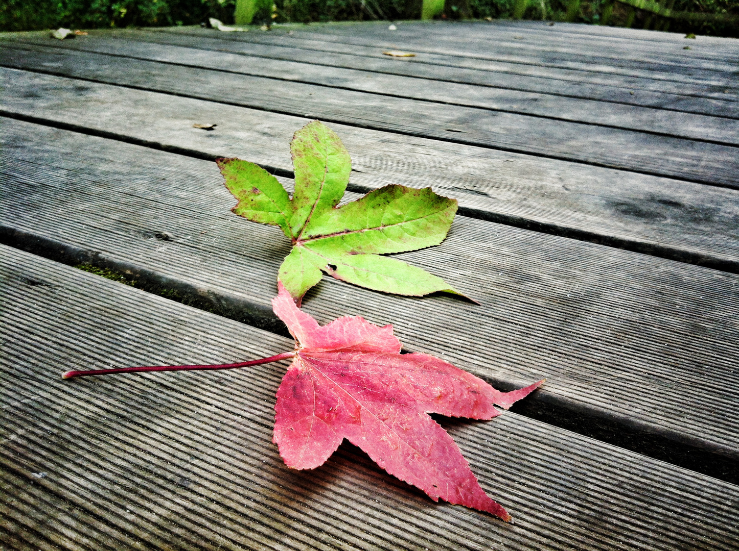 Colores de otoño