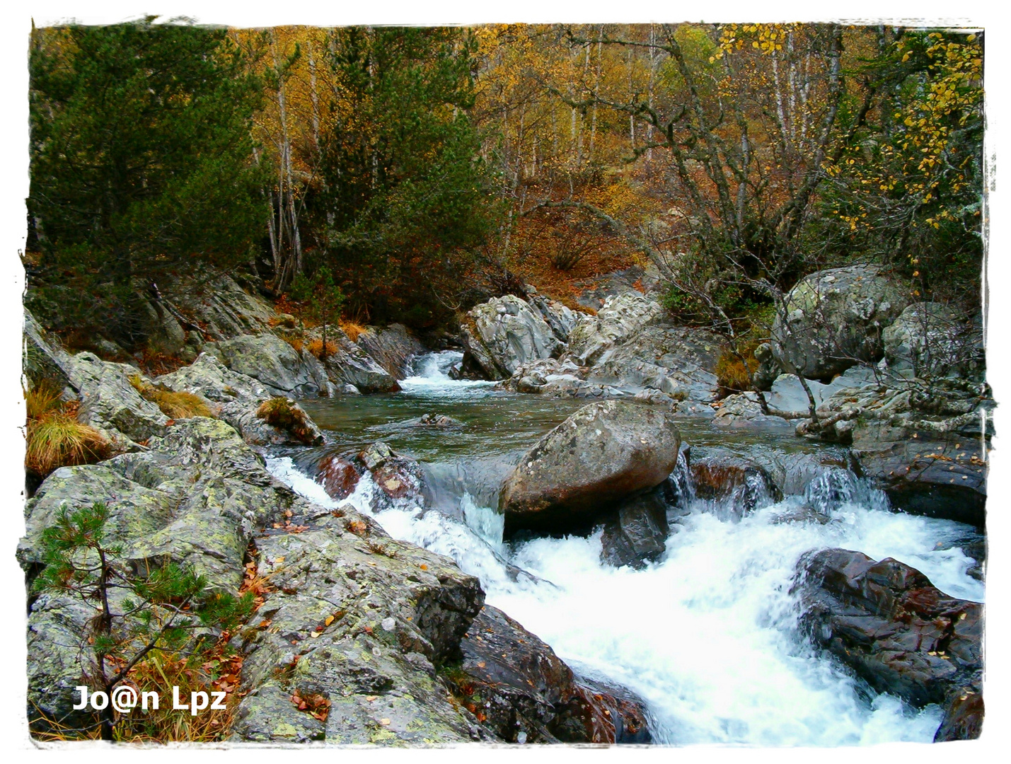 Colores de otoño