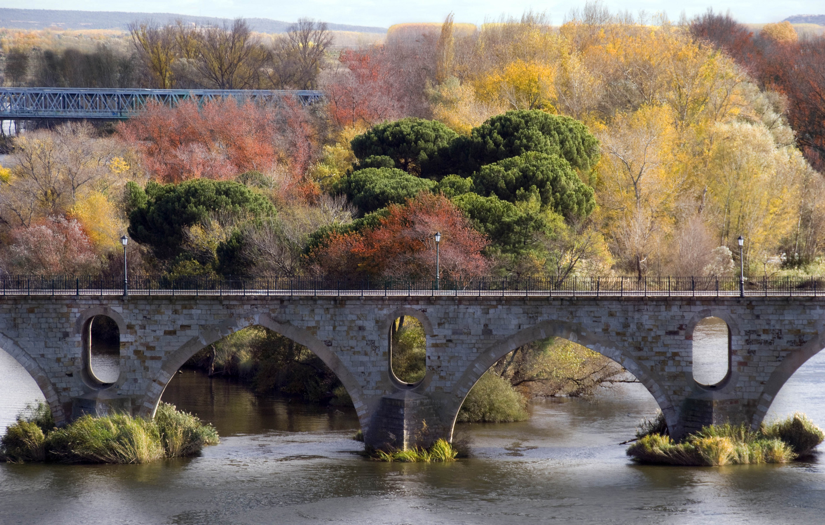 Colores de otoño en Zamora.