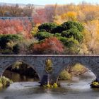 Colores de otoño en Zamora.