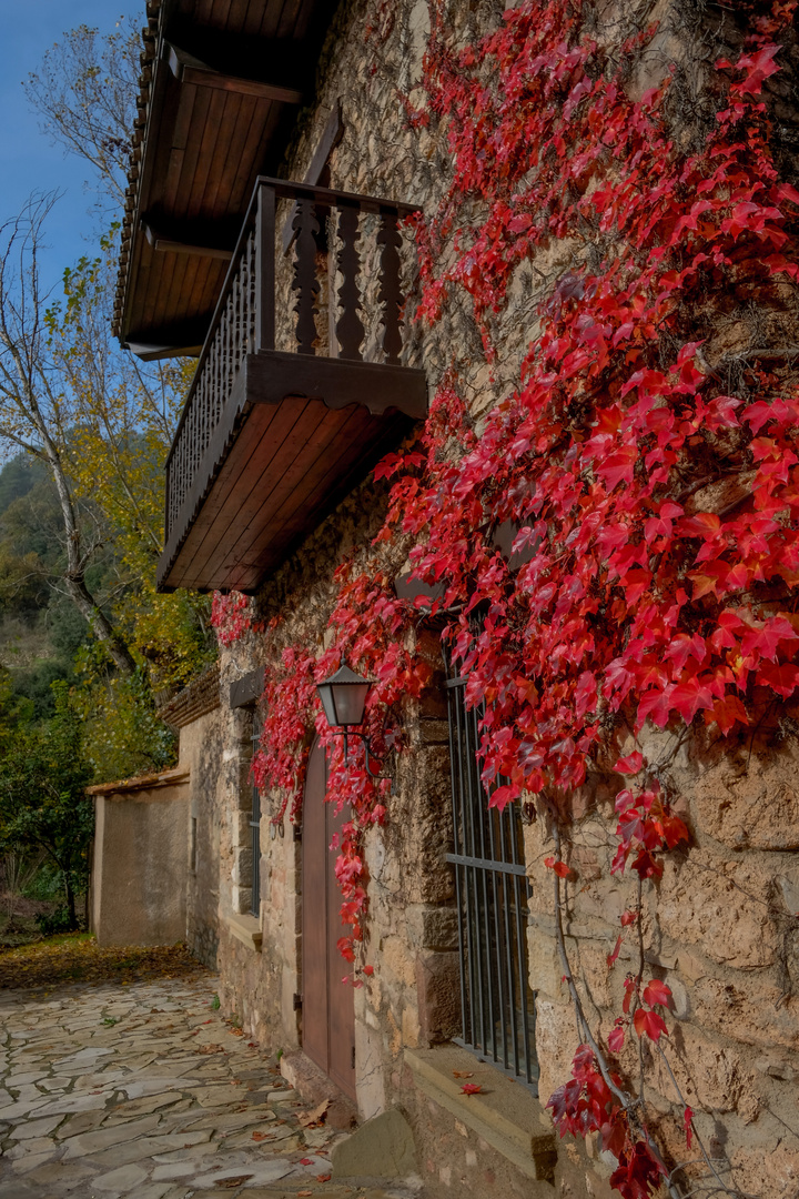 Colores de Otoño I