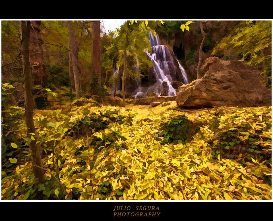 Colores de Otoño Web.