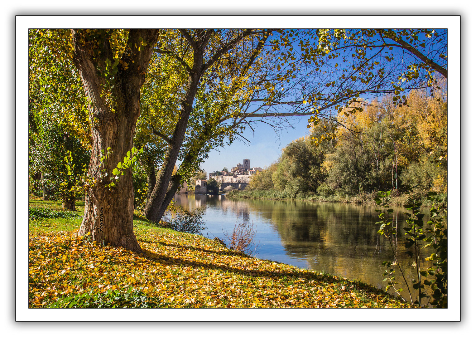 Colores de Otoño. Zamora