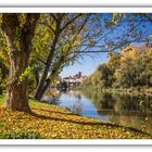 Colores de Otoño. Zamora