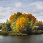 Colores  de otoño. Zamora.