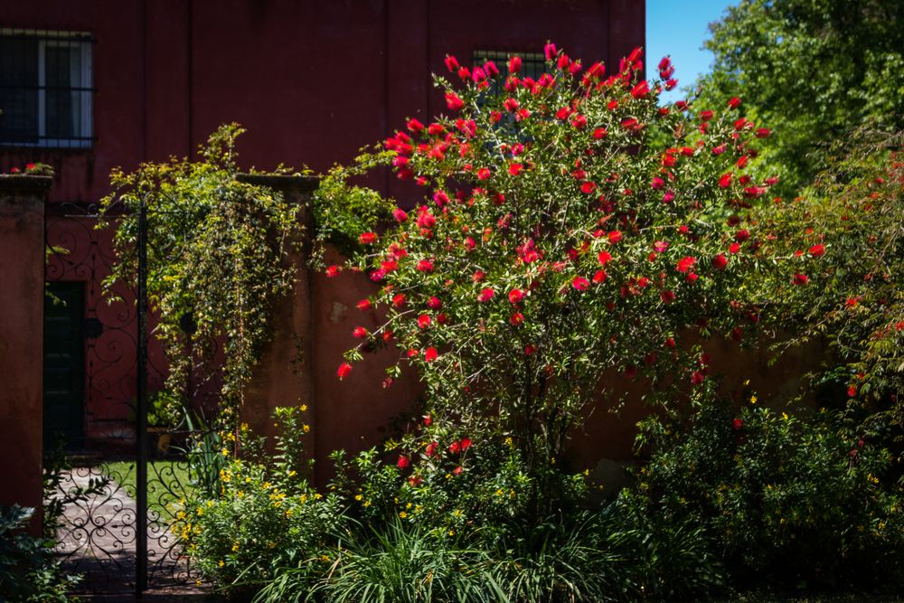 Colores de primavera