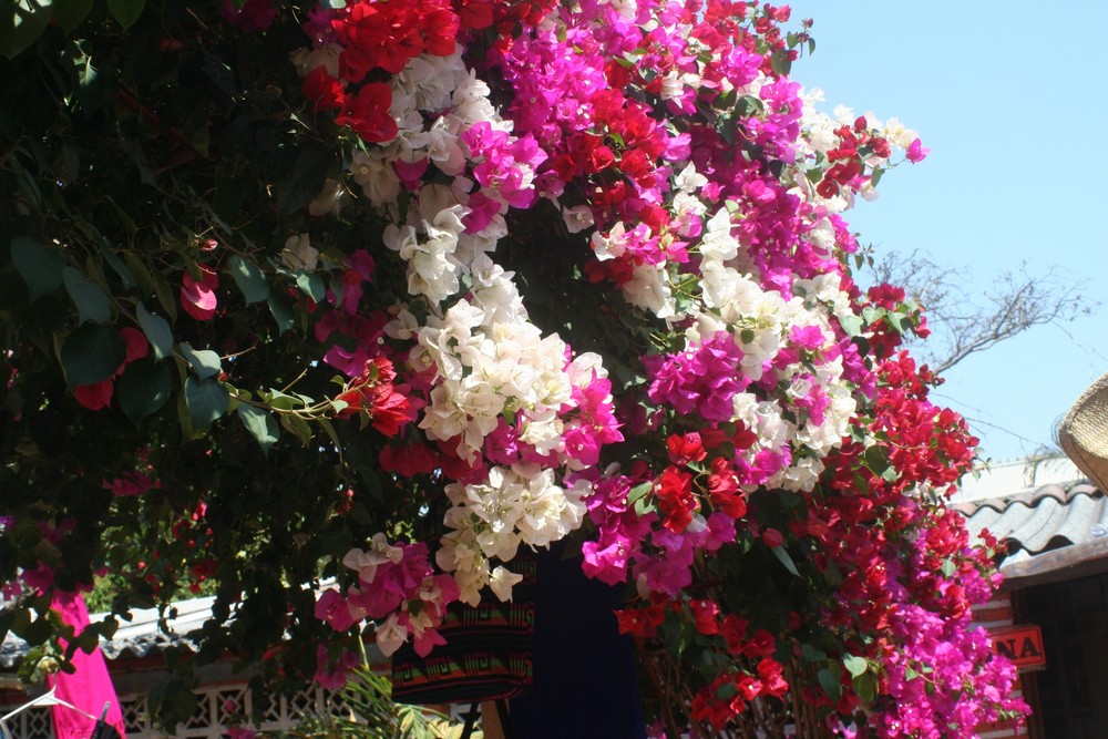 Colores de primavera