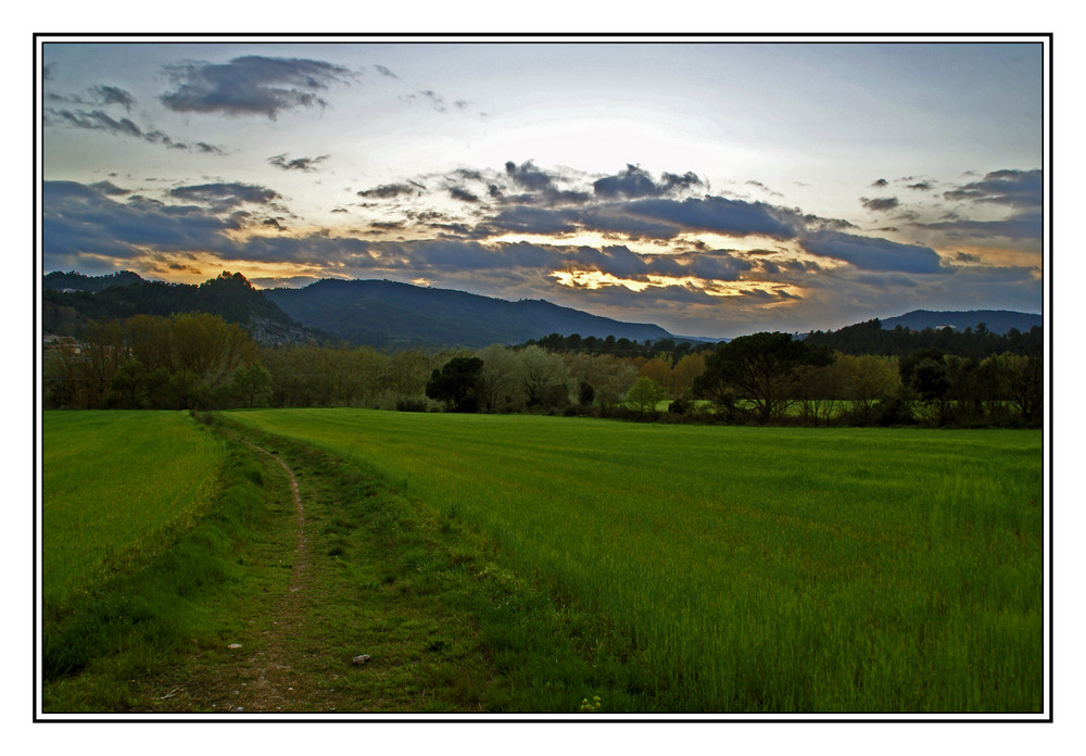 Colores de primavera I "para Antonio Naranjo"