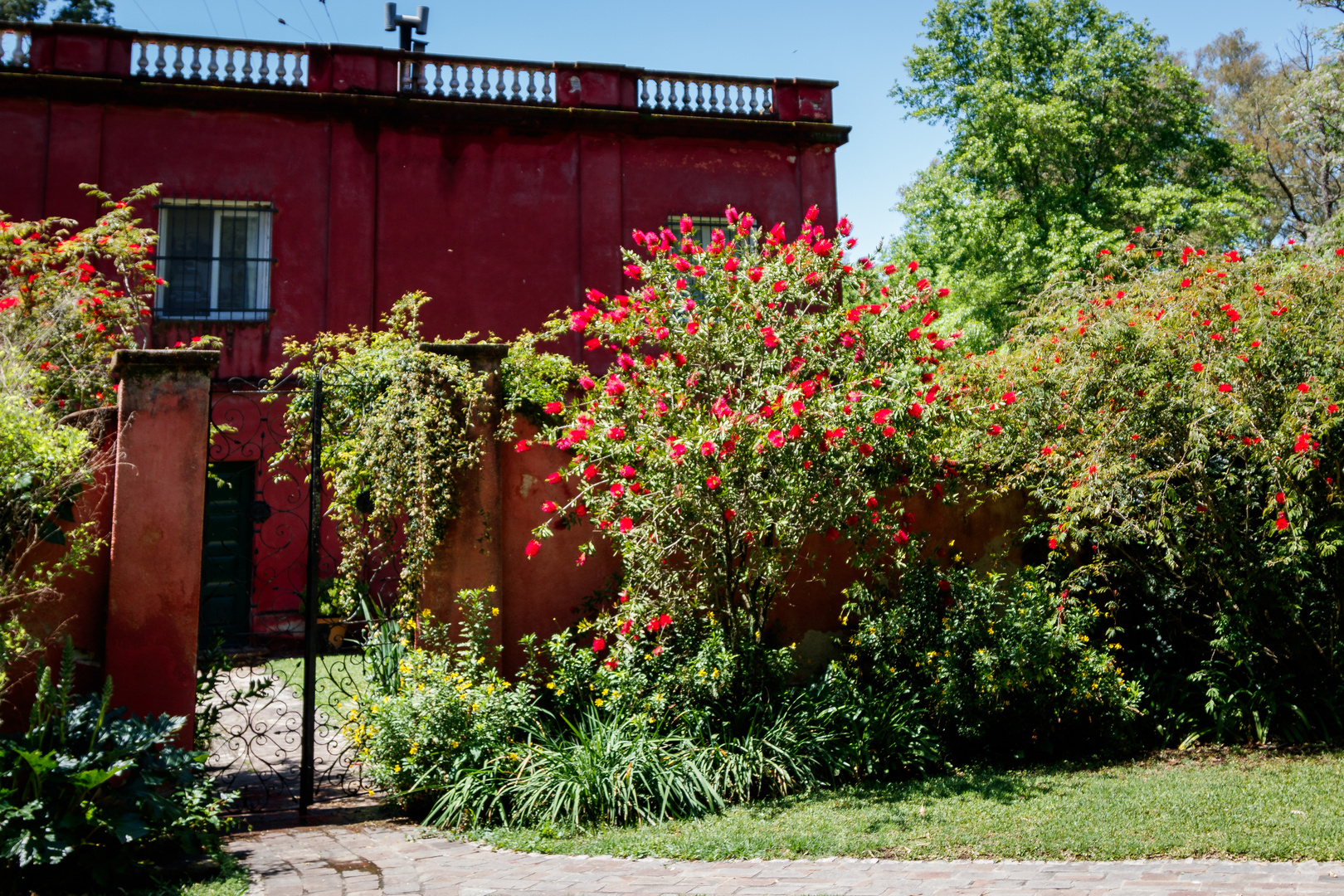 Colores de primavera III