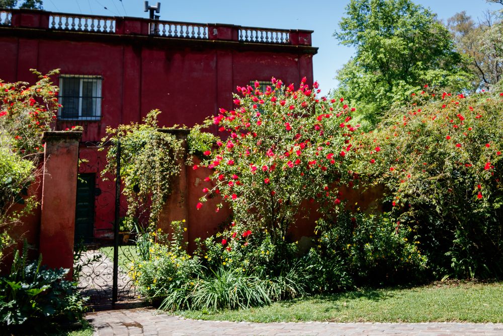 Colores de primavera III