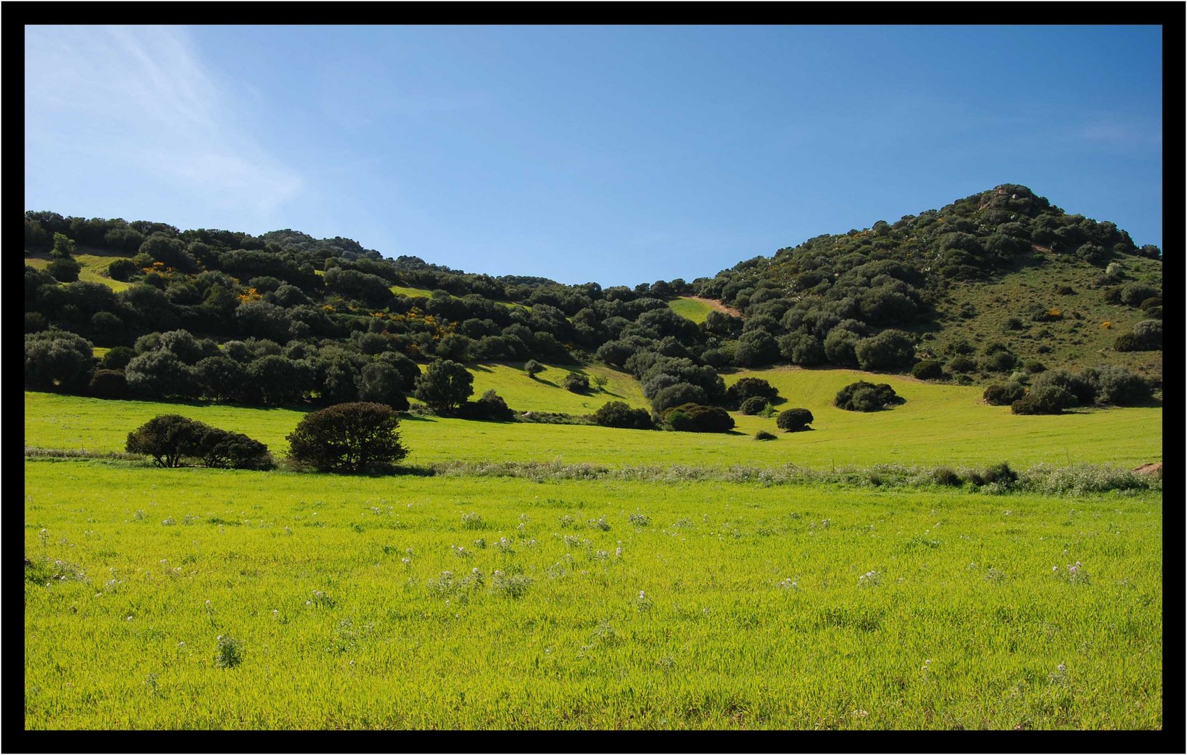 Colores de Sardegna