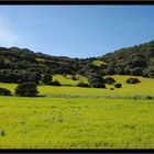 Colores de Sardegna