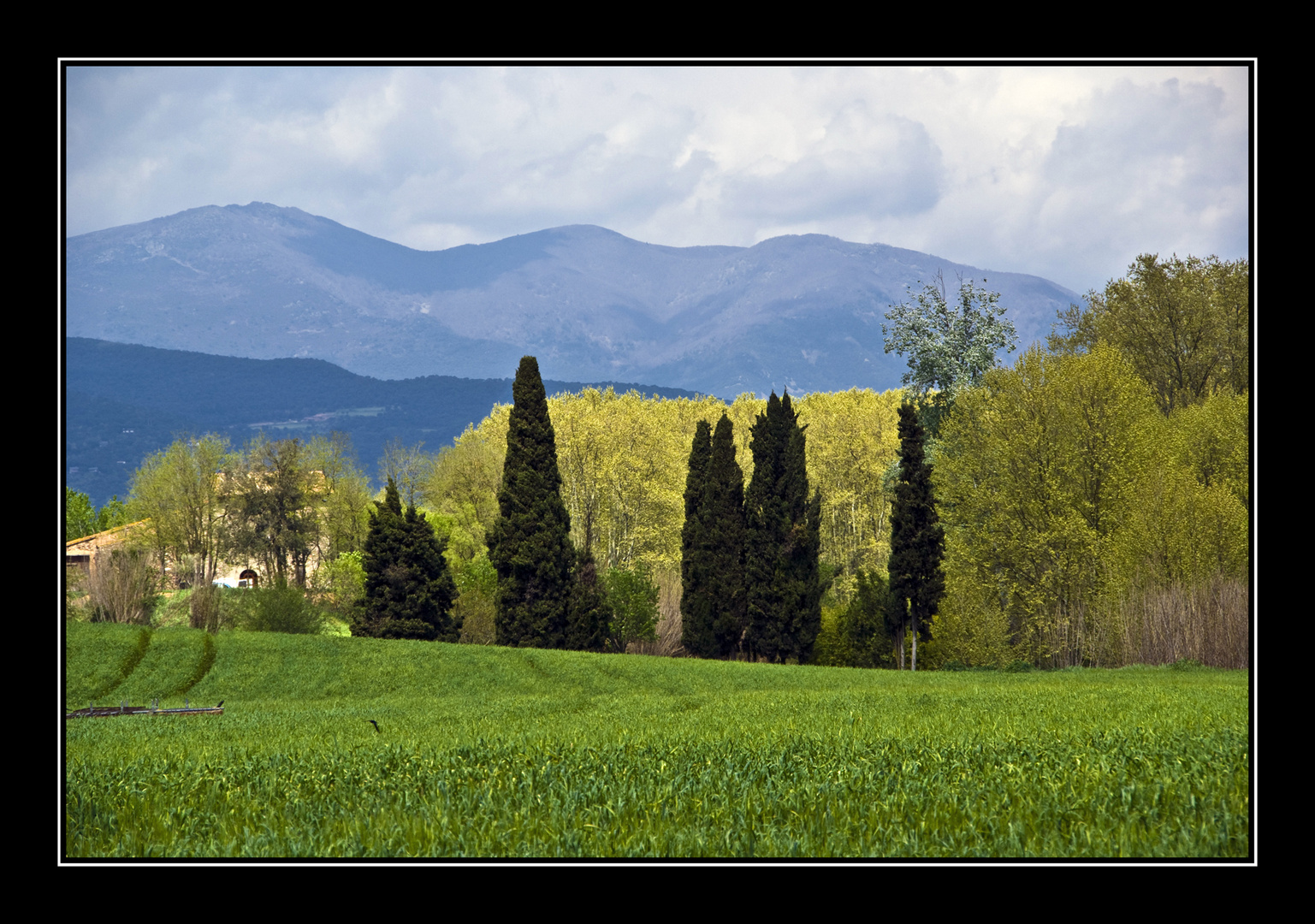 Colores del Montseny