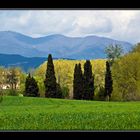 Colores del Montseny