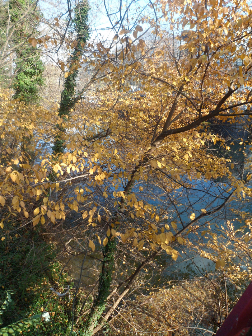 colores del otoño