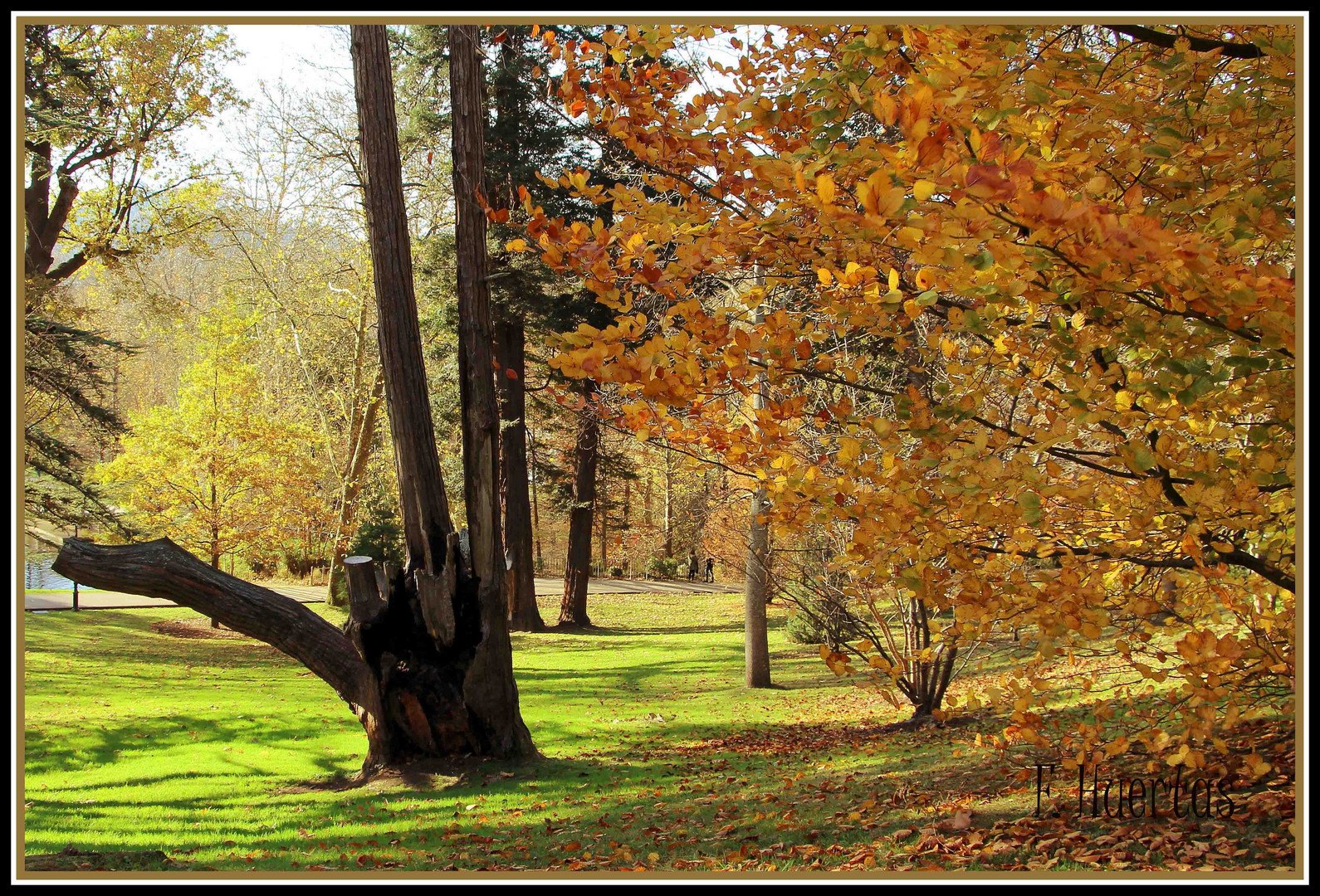 Colores del otoño