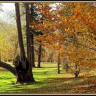 Colores del otoño