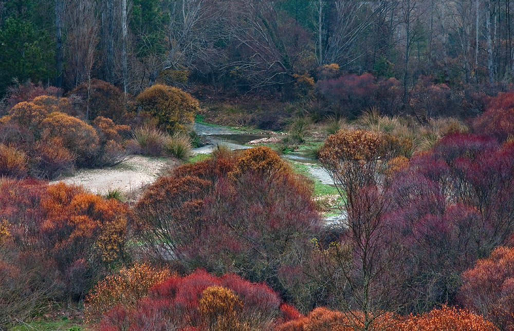 Colores del Rio Mundo