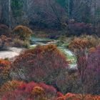 Colores del Rio Mundo