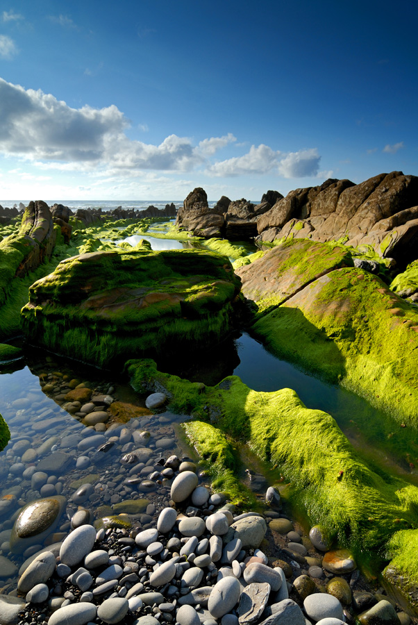 Colores en Barrika