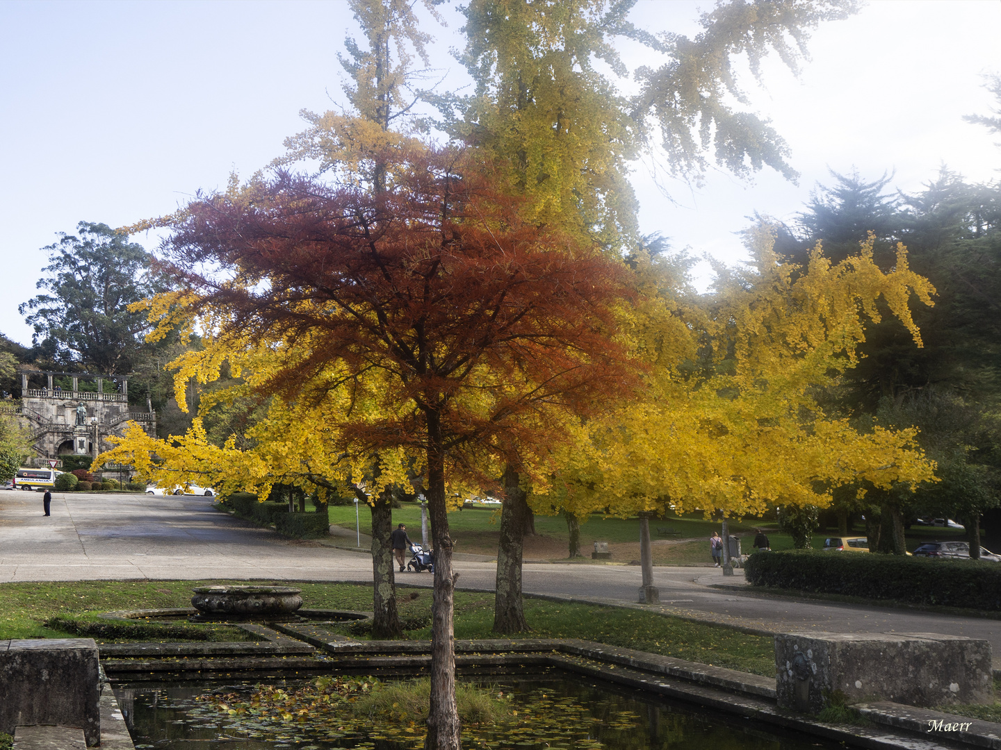 Colores en el campus universitario.