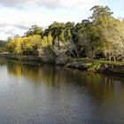 COLORES EN EN EL RIO