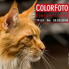 Colorfoto_Contest_Tierportraits