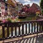 Colorful Alsace