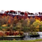 Colorful Autumn