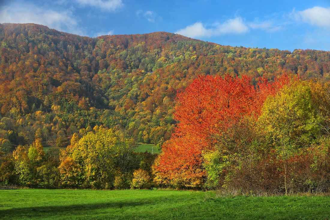 Colorful autumn in mountains