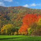 Colorful autumn in mountains
