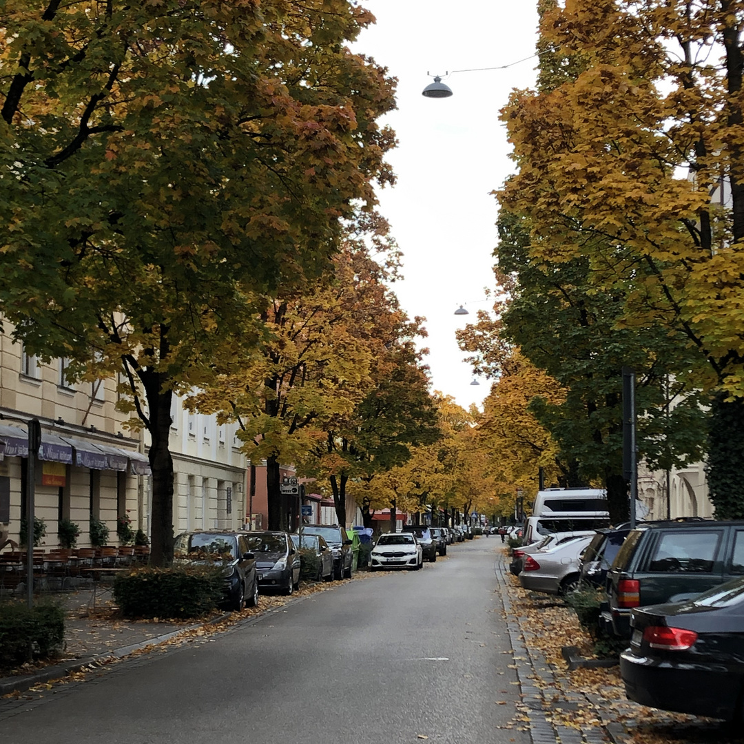 Colorful Autumn in Munich2