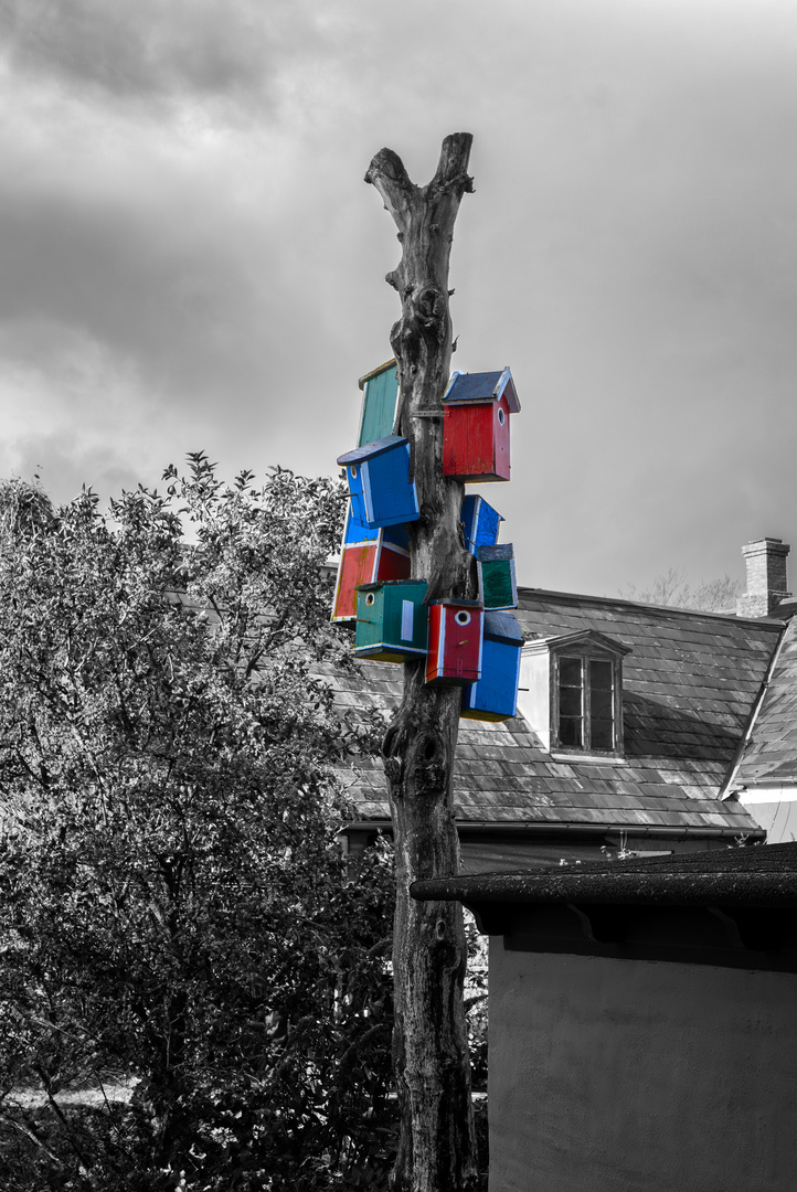 ... colorful birdhouses ...